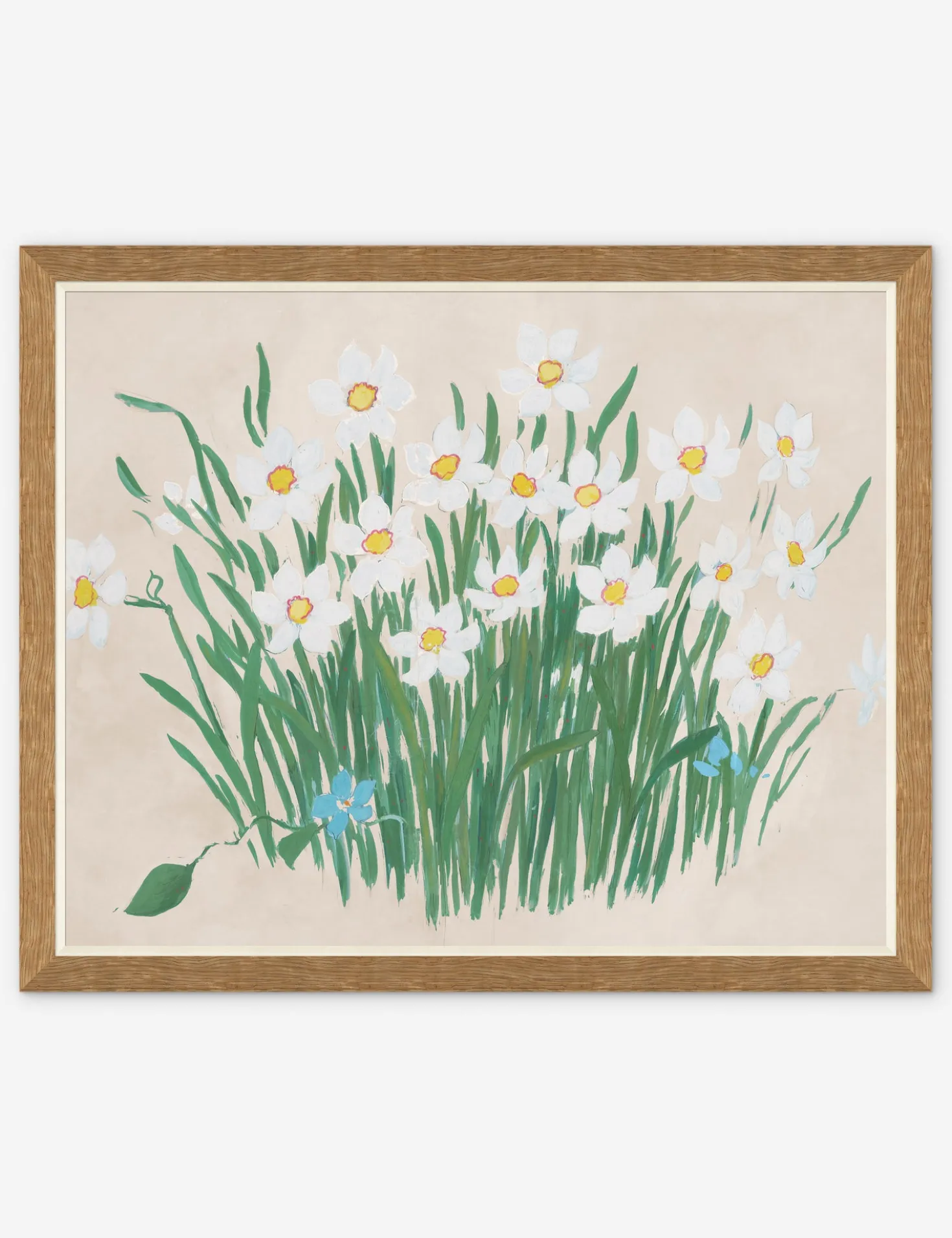 Camellia Print by Paule Marrot