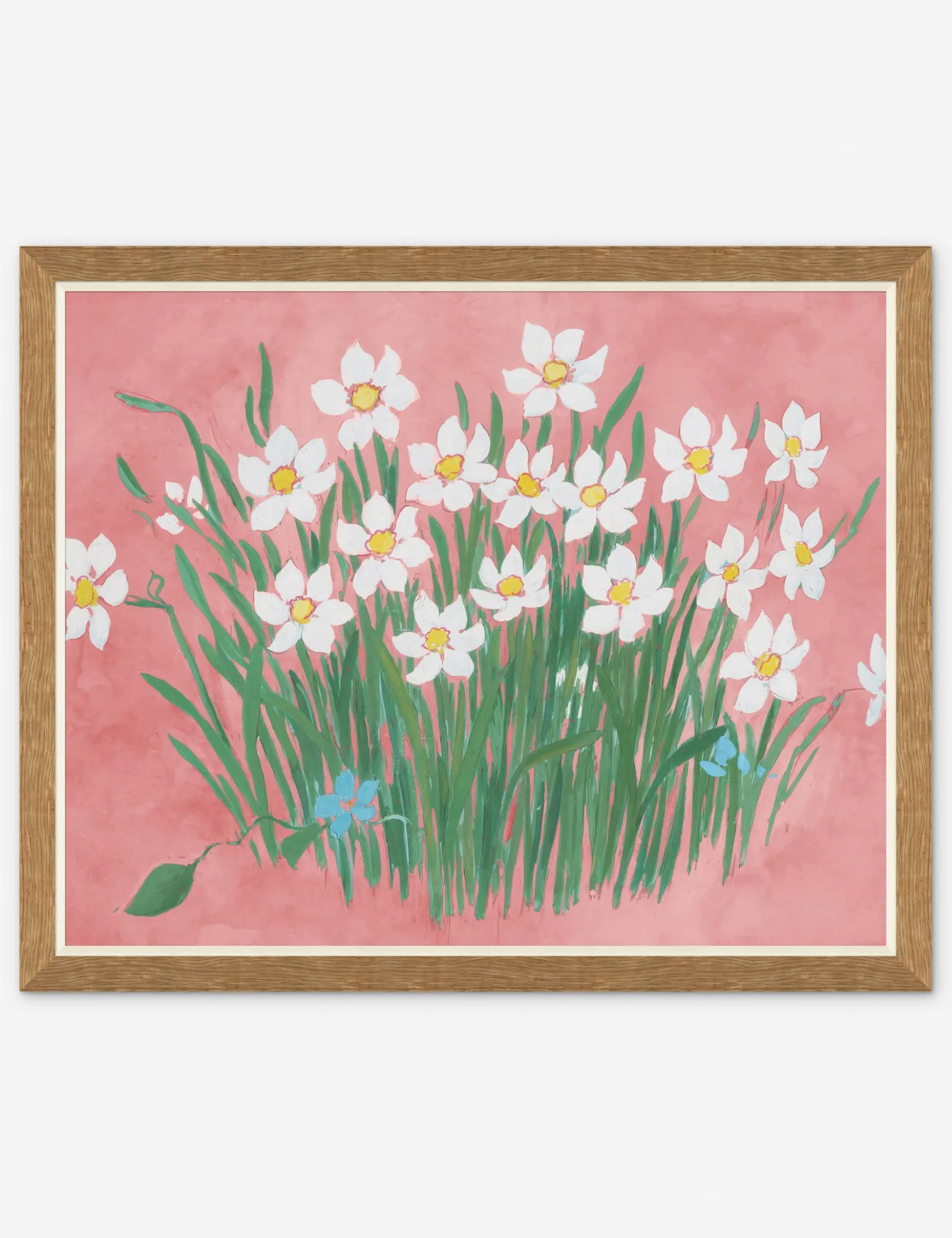 Camellia Print by Paule Marrot