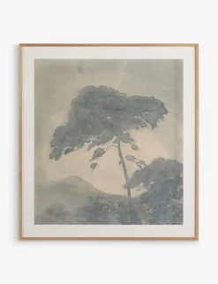 Canopy by Chelsea Fly