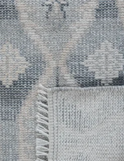 Carrillo Hand-Knotted Indoor / Outdoor Rug