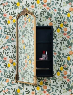 Casserly Medicine Cabinet