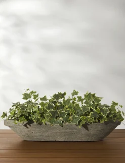 Cast Stone Tabletop Planters by Campania International