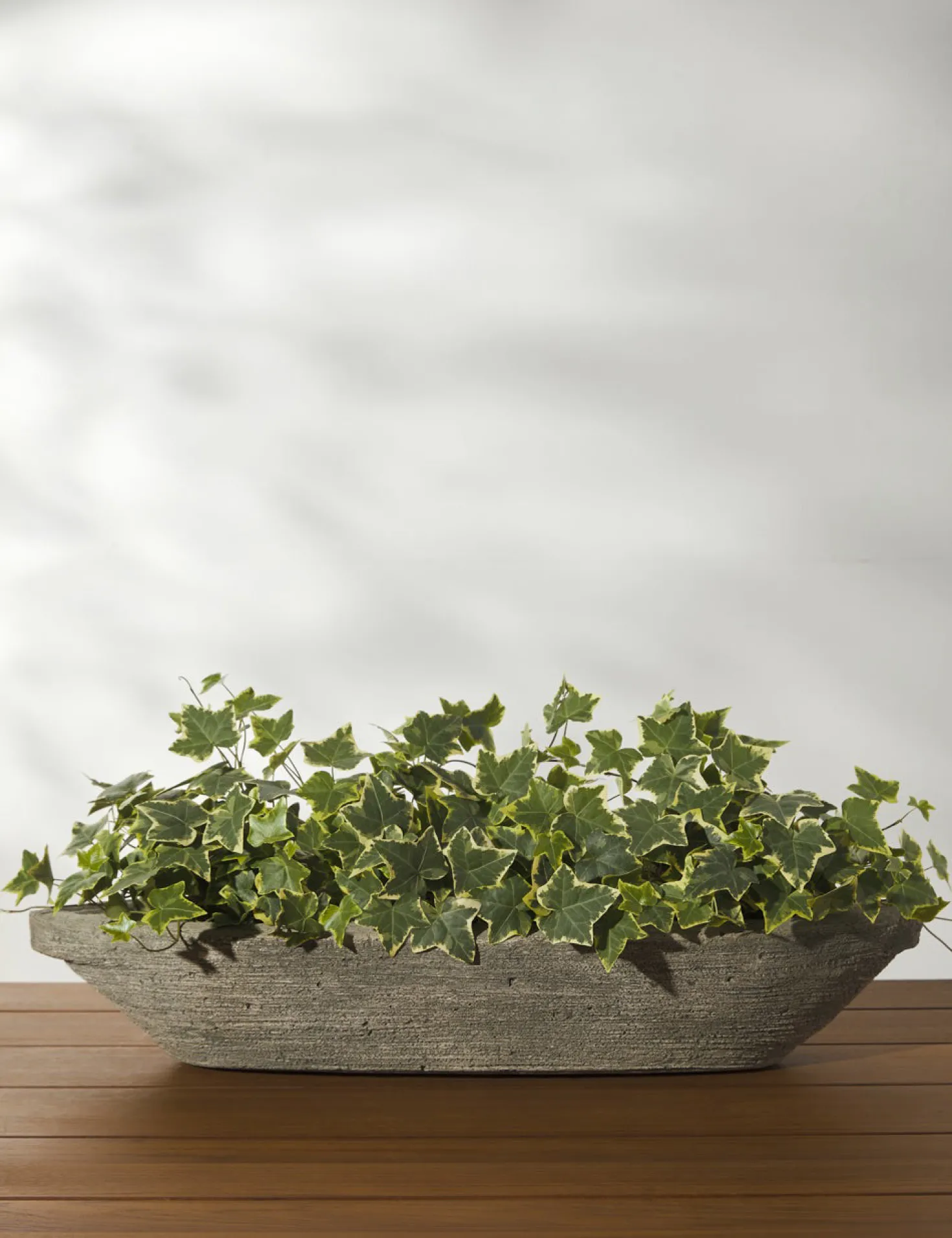 Cast Stone Tabletop Planters by Campania International