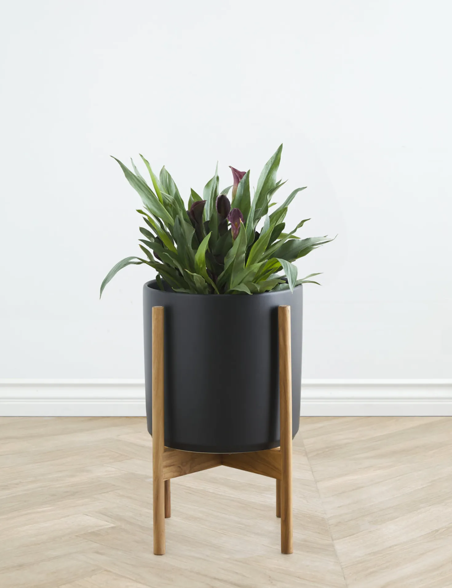 Ceramic Planter Pot + Teak Stand by LBE Design