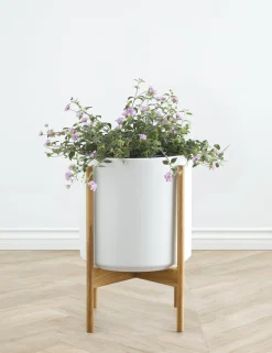 Ceramic Planter Pot + Teak Stand by LBE Design