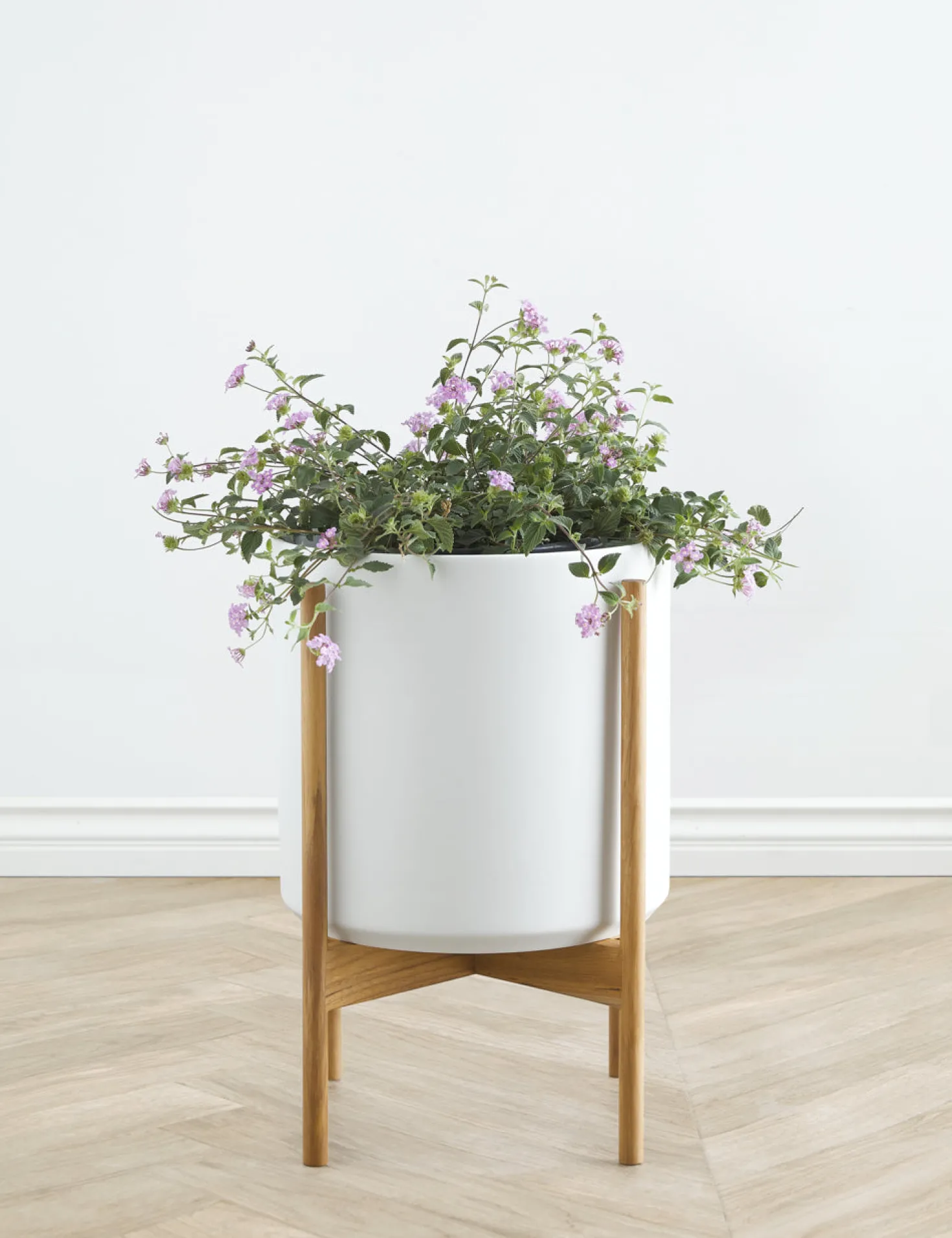 Ceramic Planter Pot + Teak Stand by LBE Design