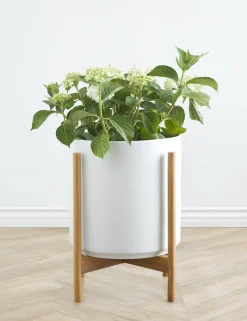 Ceramic Planter Pot + Teak Stand by LBE Design