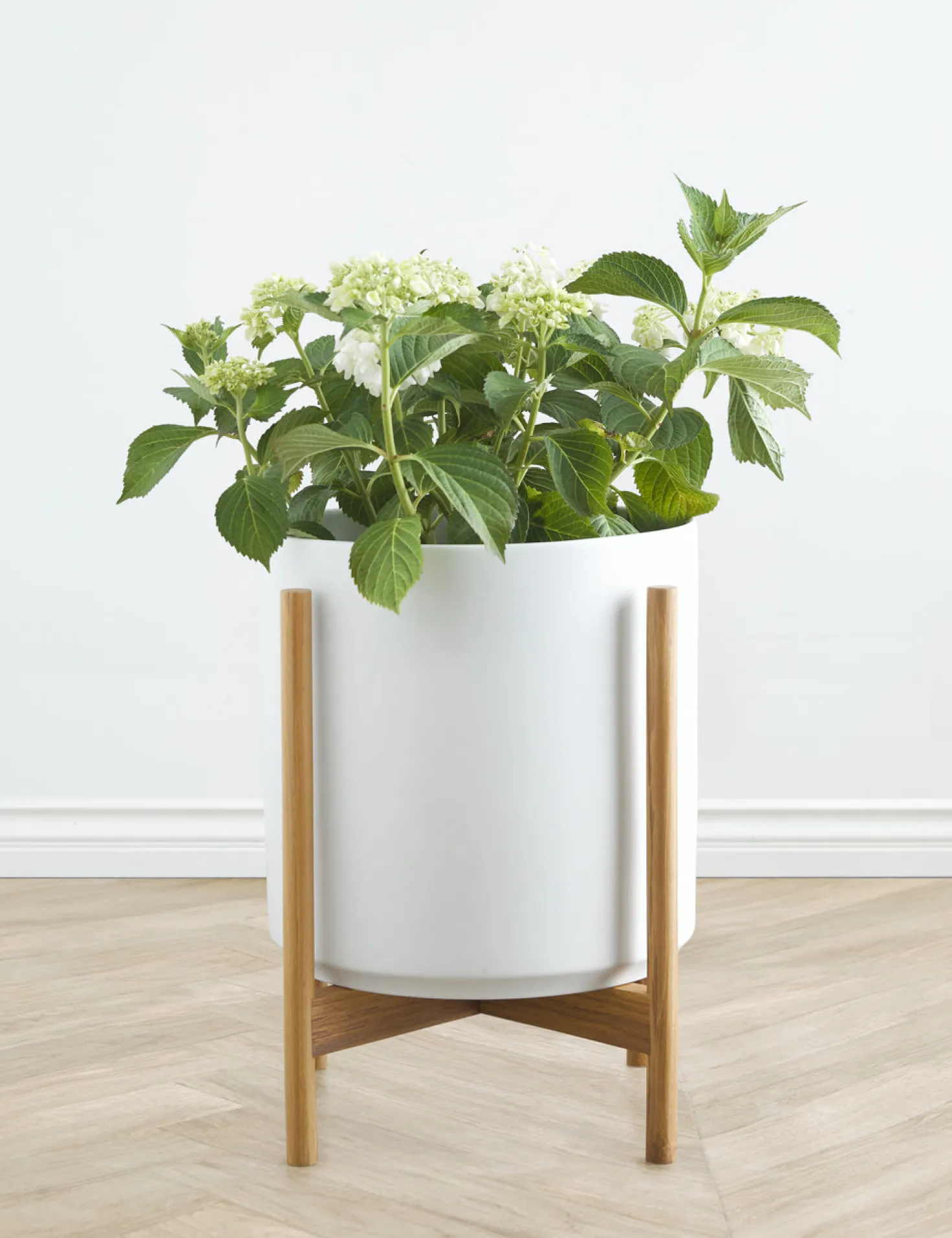 Ceramic Planter Pot + Teak Stand by LBE Design