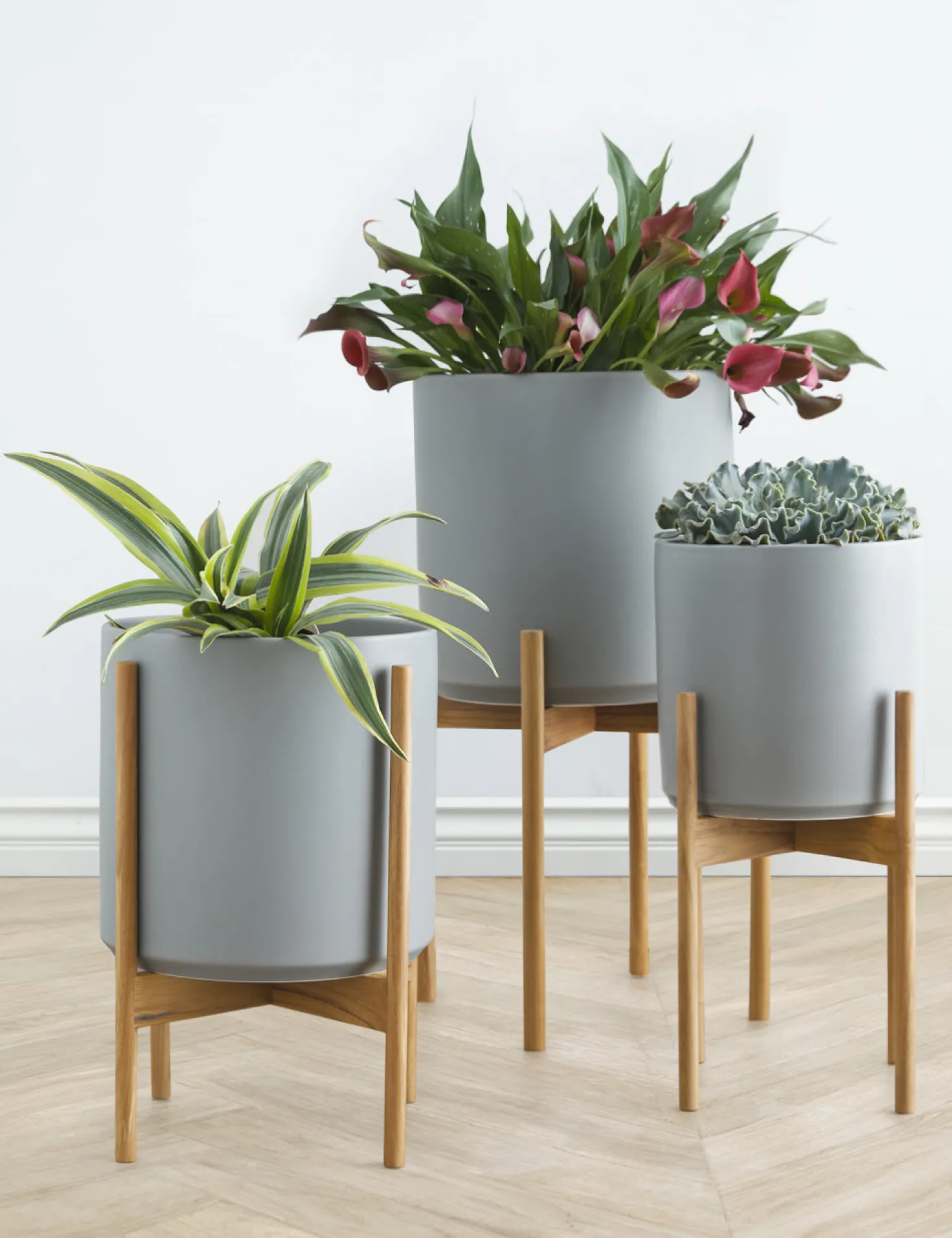 Ceramic Planter Pot + Teak Stand by LBE Design