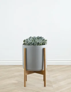 Ceramic Planter Pot + Teak Stand by LBE Design