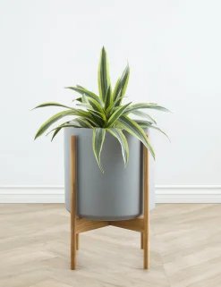 Ceramic Planter Pot + Teak Stand by LBE Design