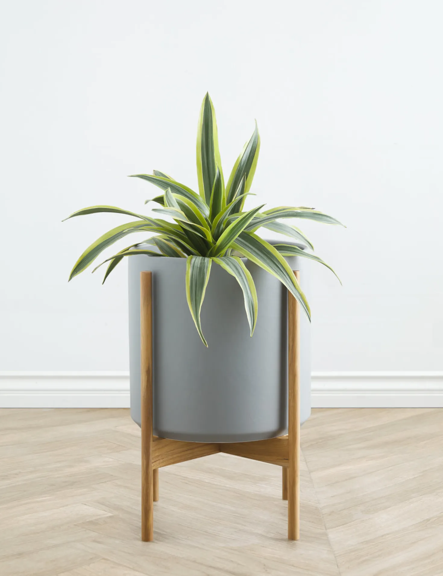 Ceramic Planter Pot + Teak Stand by LBE Design