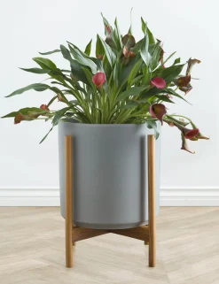 Ceramic Planter Pot + Teak Stand by LBE Design