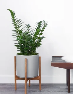 Ceramic Planter Pot + Teak Stand by LBE Design