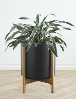 Ceramic Planter Pot + Teak Stand by LBE Design