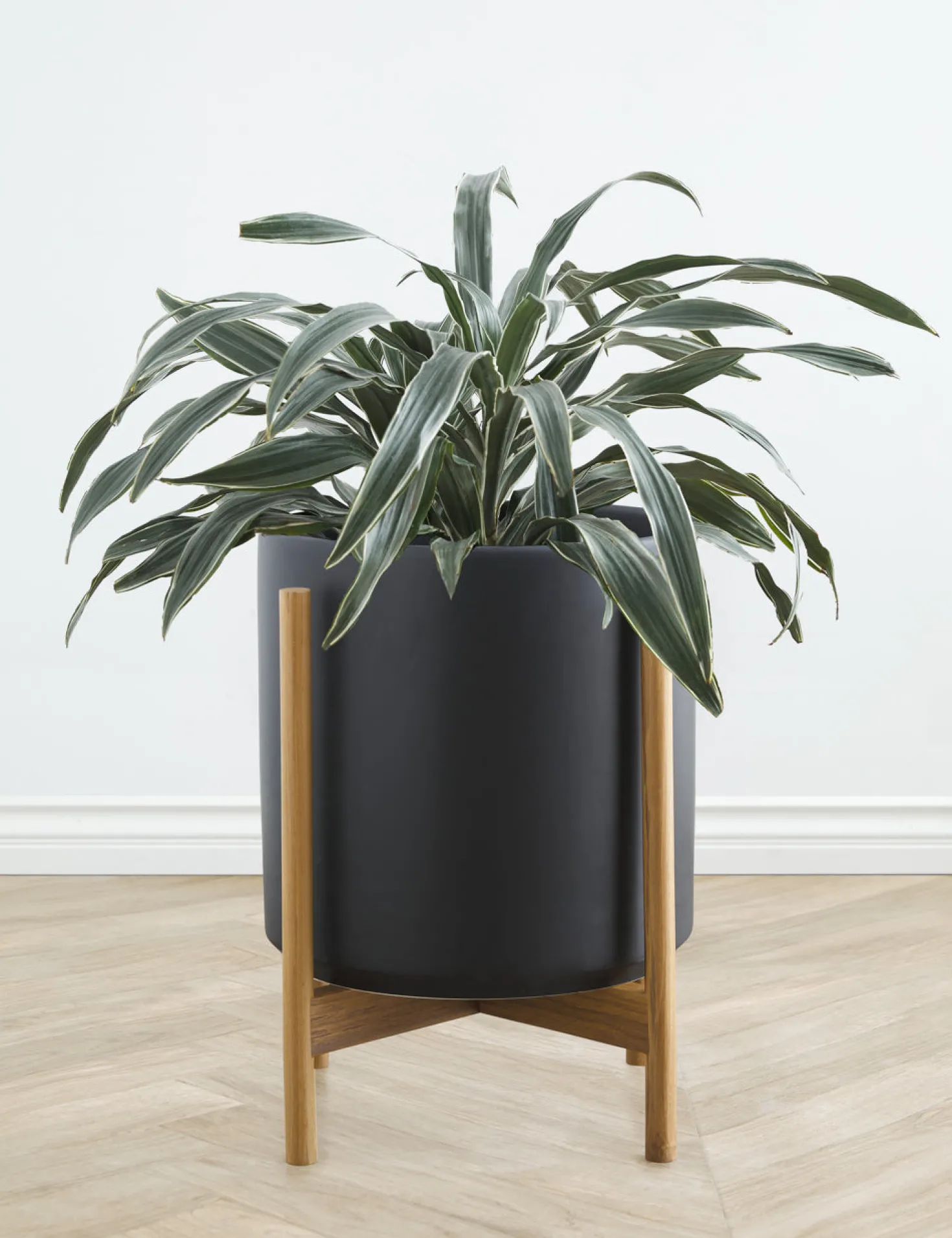 Ceramic Planter Pot + Teak Stand by LBE Design