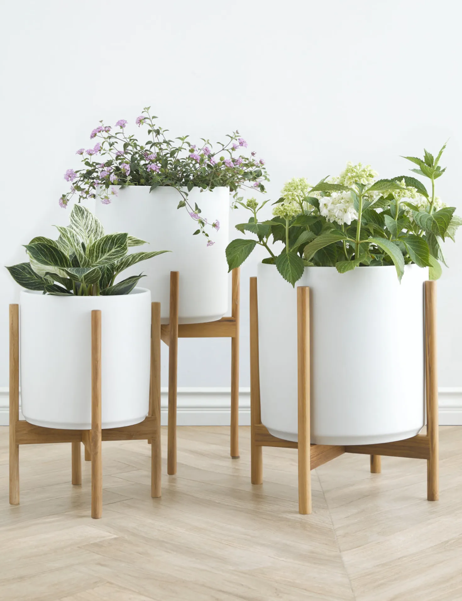 Ceramic Planter Pot + Teak Stand by LBE Design