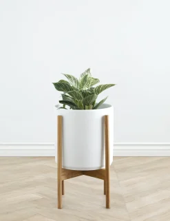 Ceramic Planter Pot + Teak Stand by LBE Design