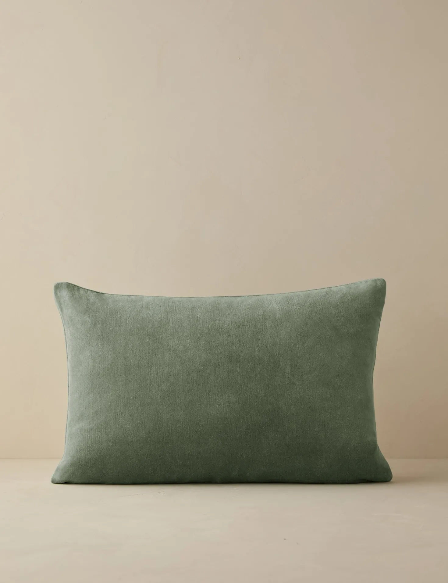 Charlotte Velvet Pillow