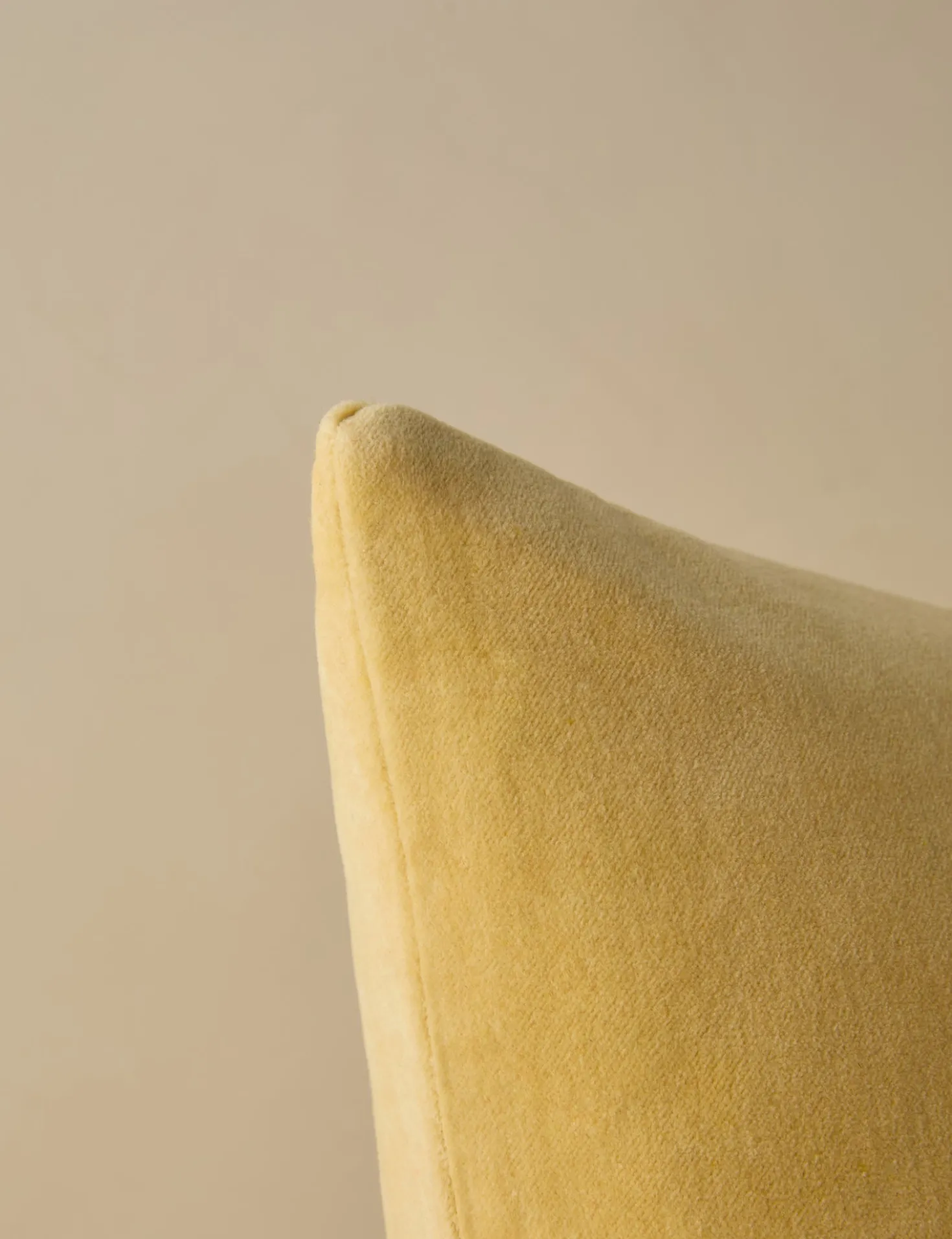 Charlotte Velvet Pillow