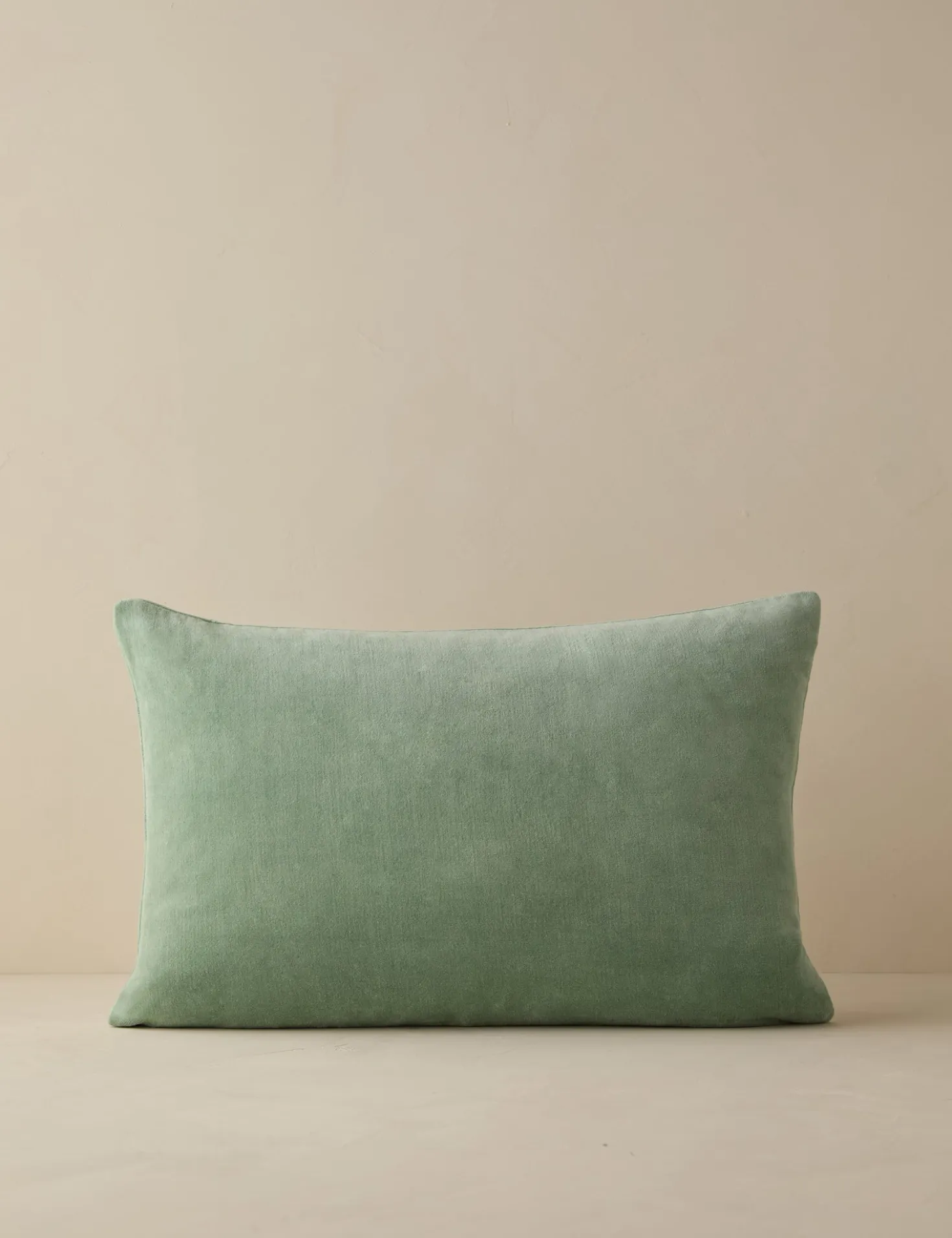 Charlotte Velvet Pillow