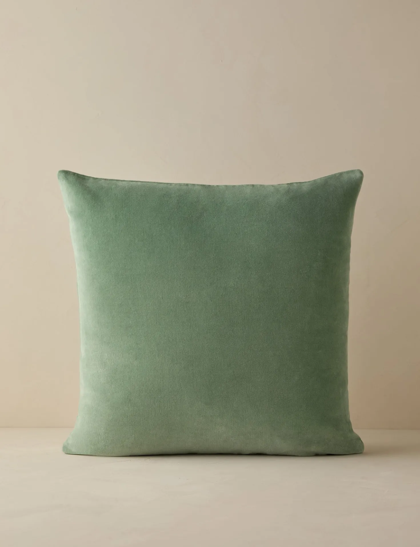 Charlotte Velvet Pillow