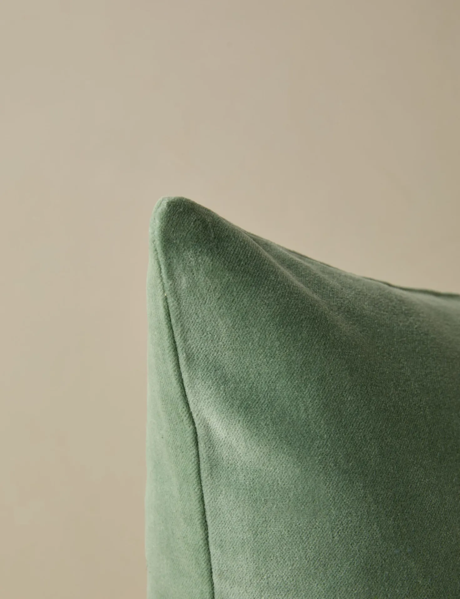 Charlotte Velvet Pillow