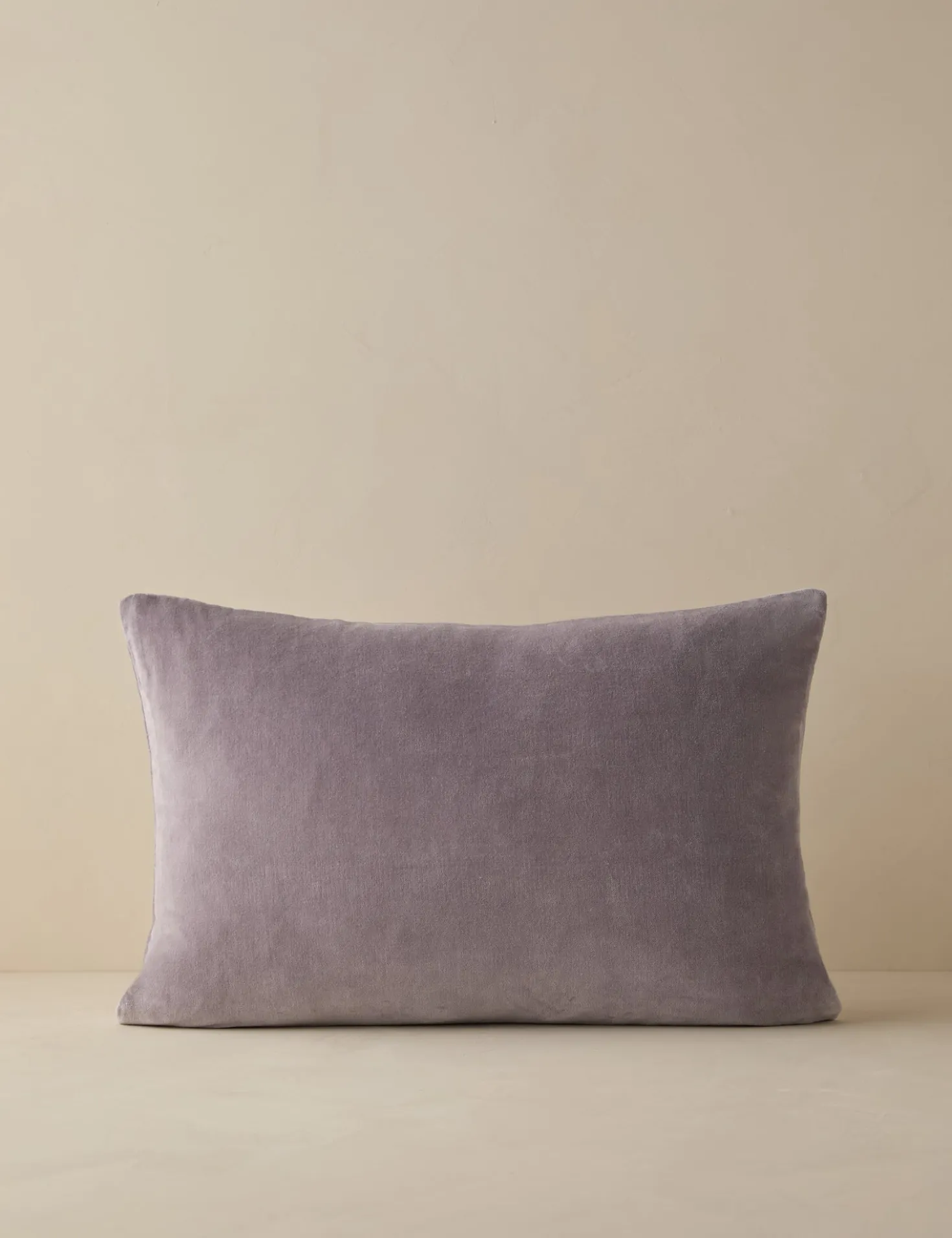 Charlotte Velvet Pillow