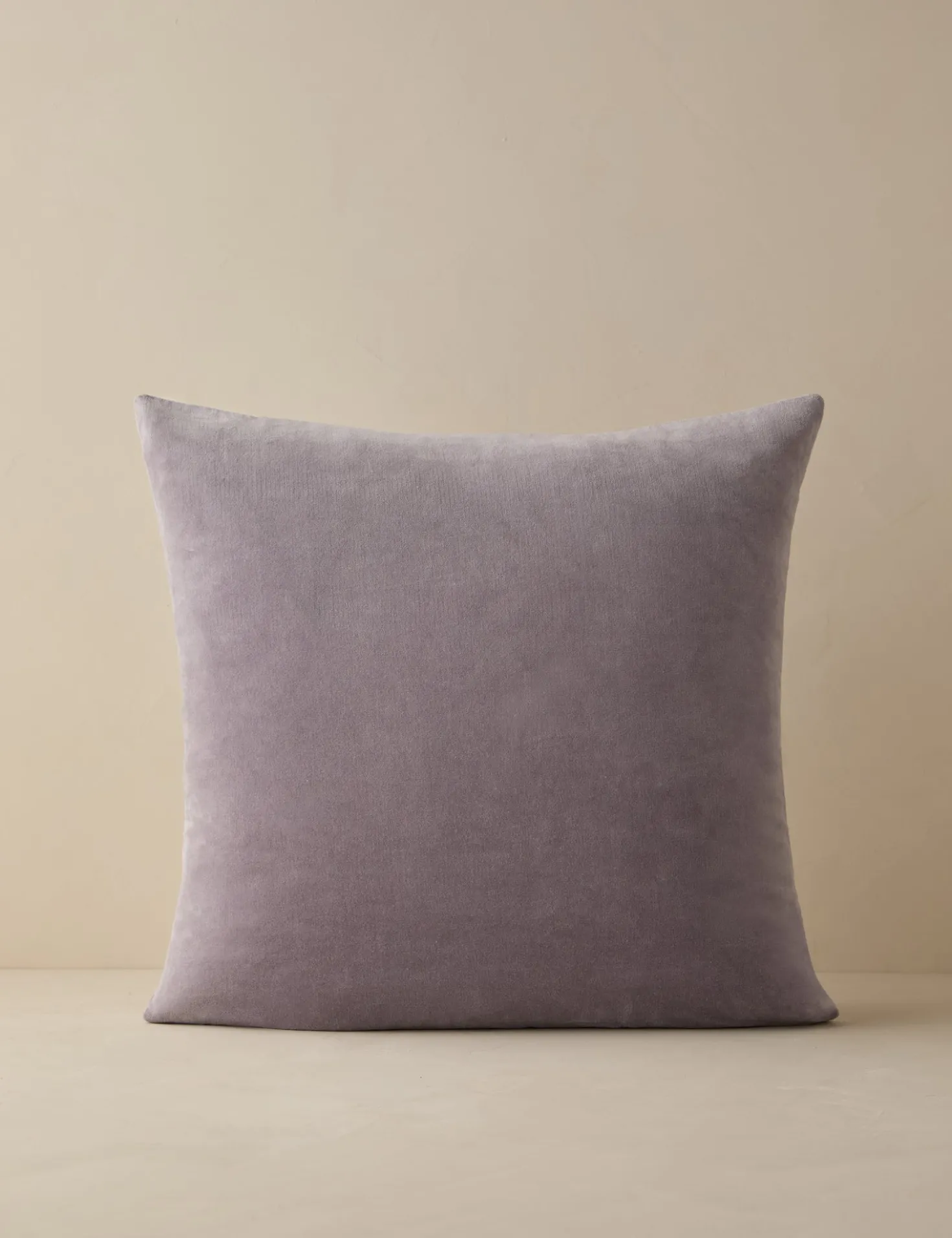 Charlotte Velvet Pillow