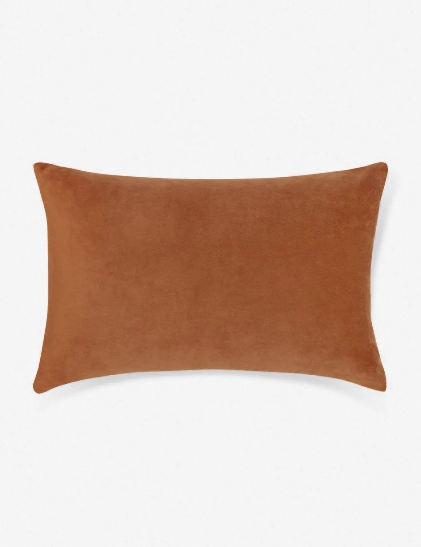 Charlotte Velvet Pillow