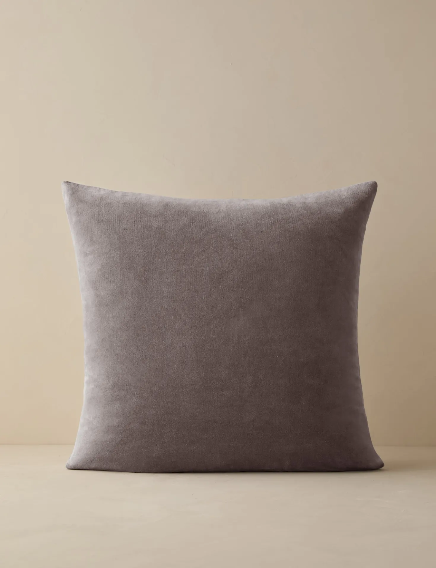 Charlotte Velvet Pillow