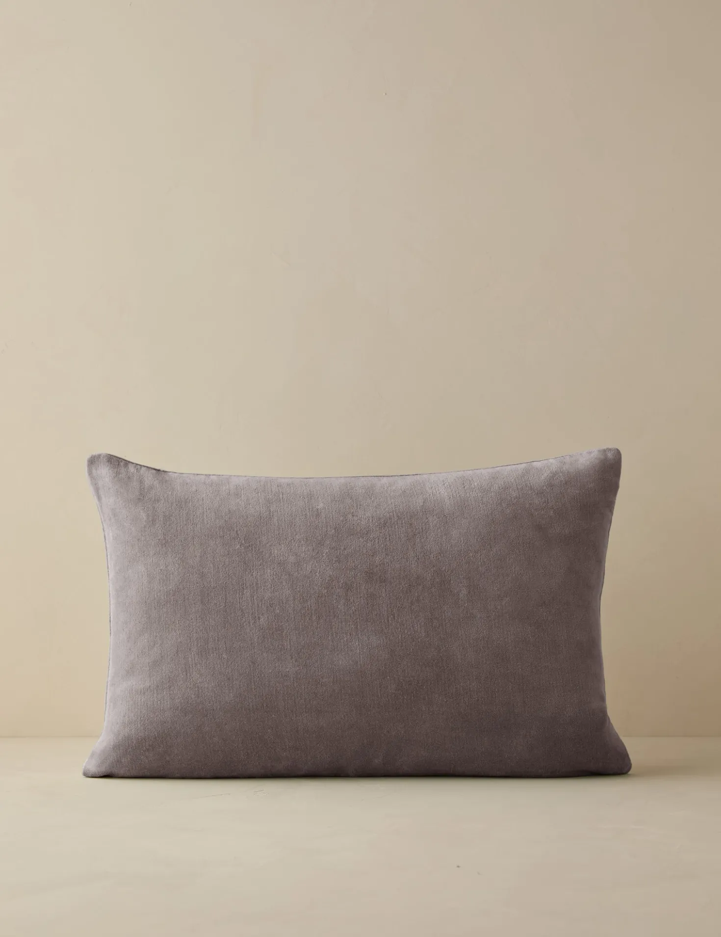 Charlotte Velvet Pillow