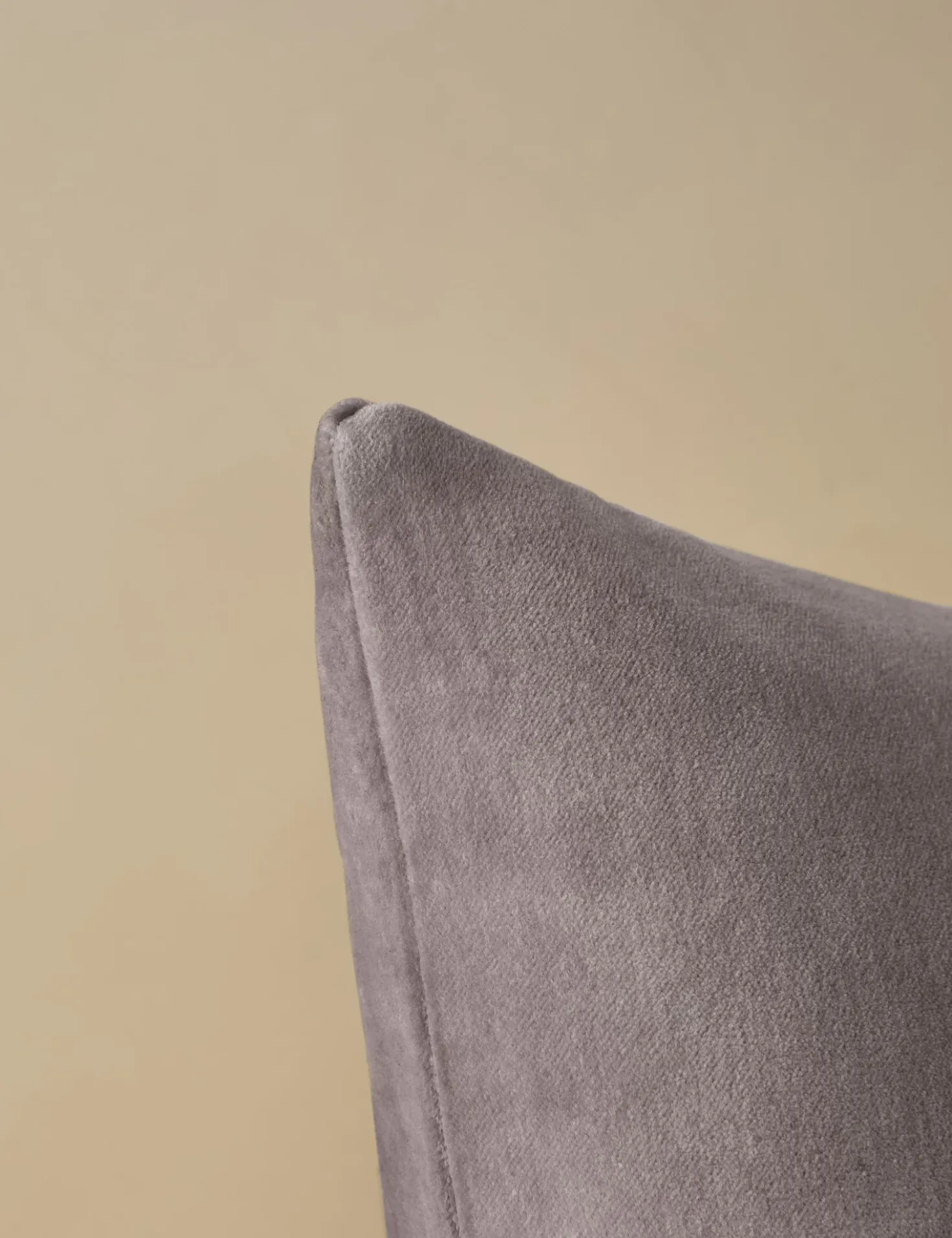 Charlotte Velvet Pillow