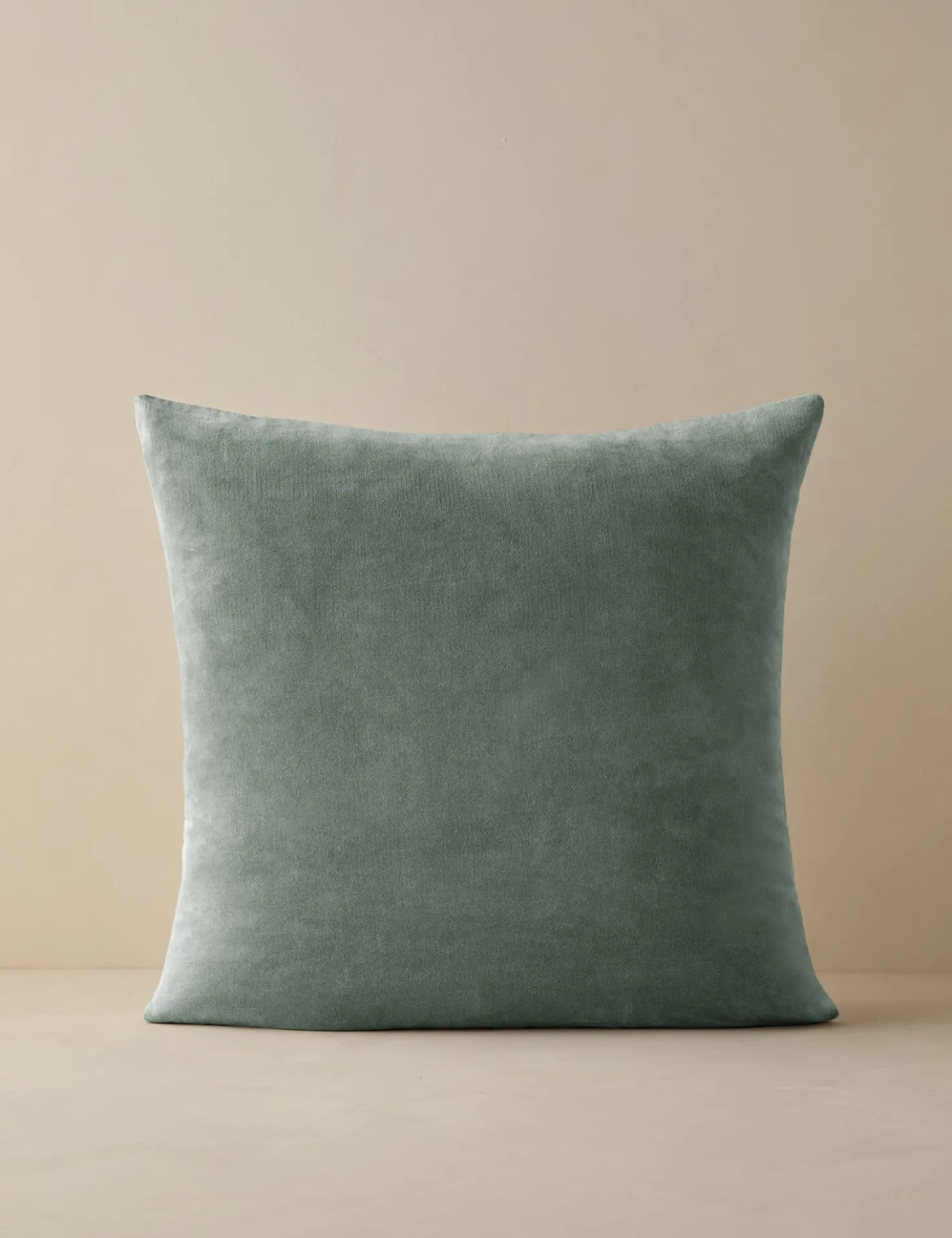 Charlotte Velvet Pillow