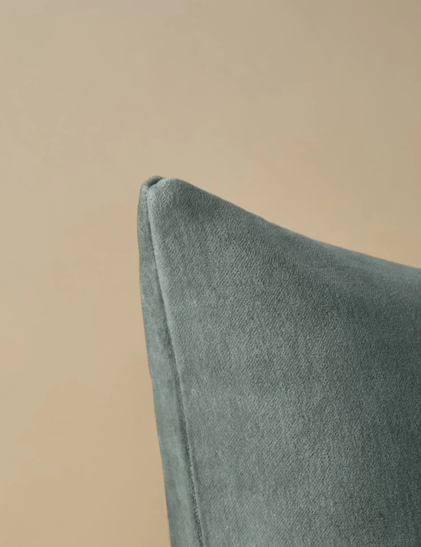 Charlotte Velvet Pillow
