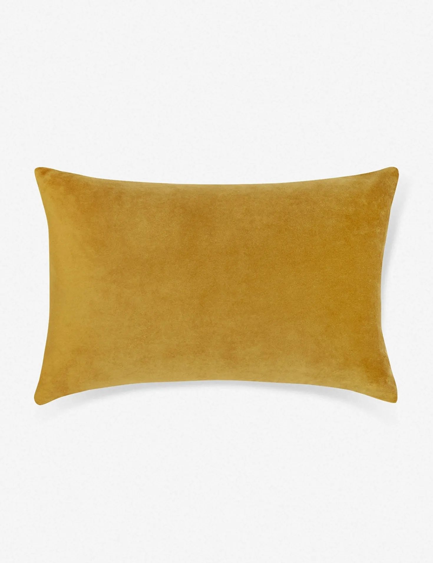 Charlotte Velvet Pillow