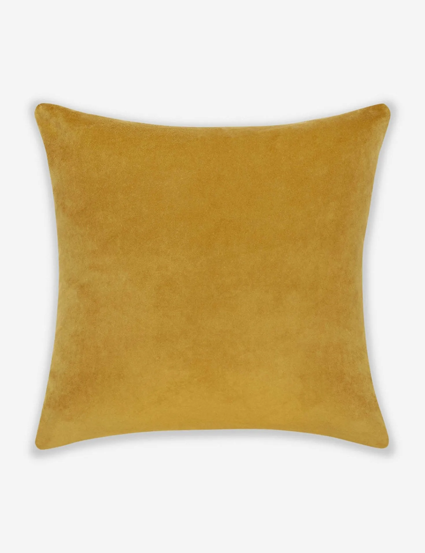 Charlotte Velvet Pillow