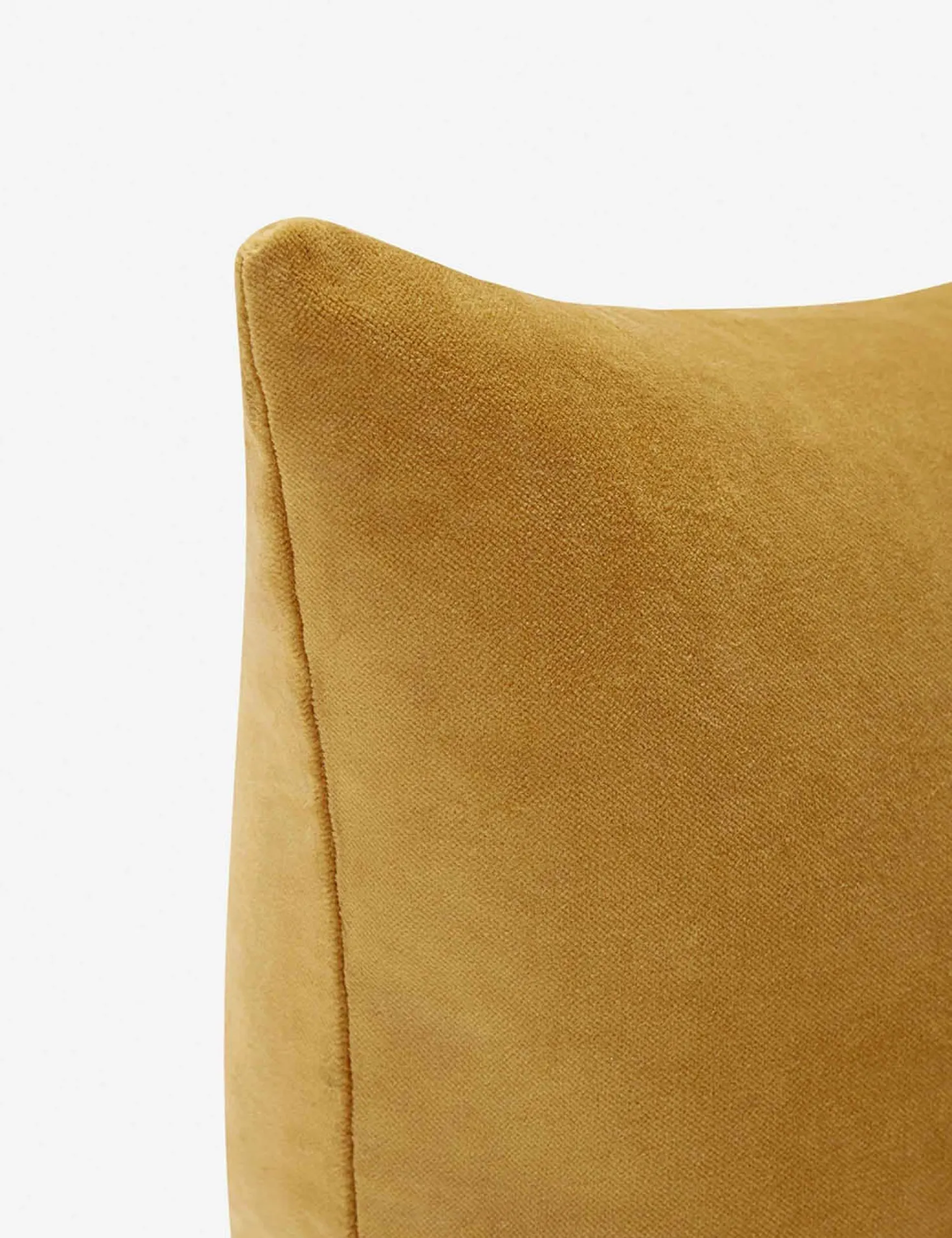 Charlotte Velvet Pillow