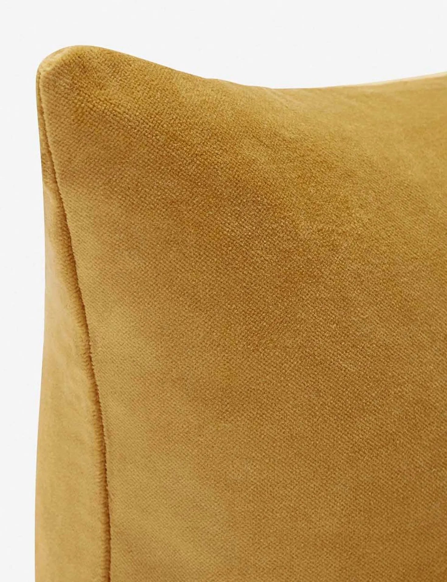 Charlotte Velvet Pillow