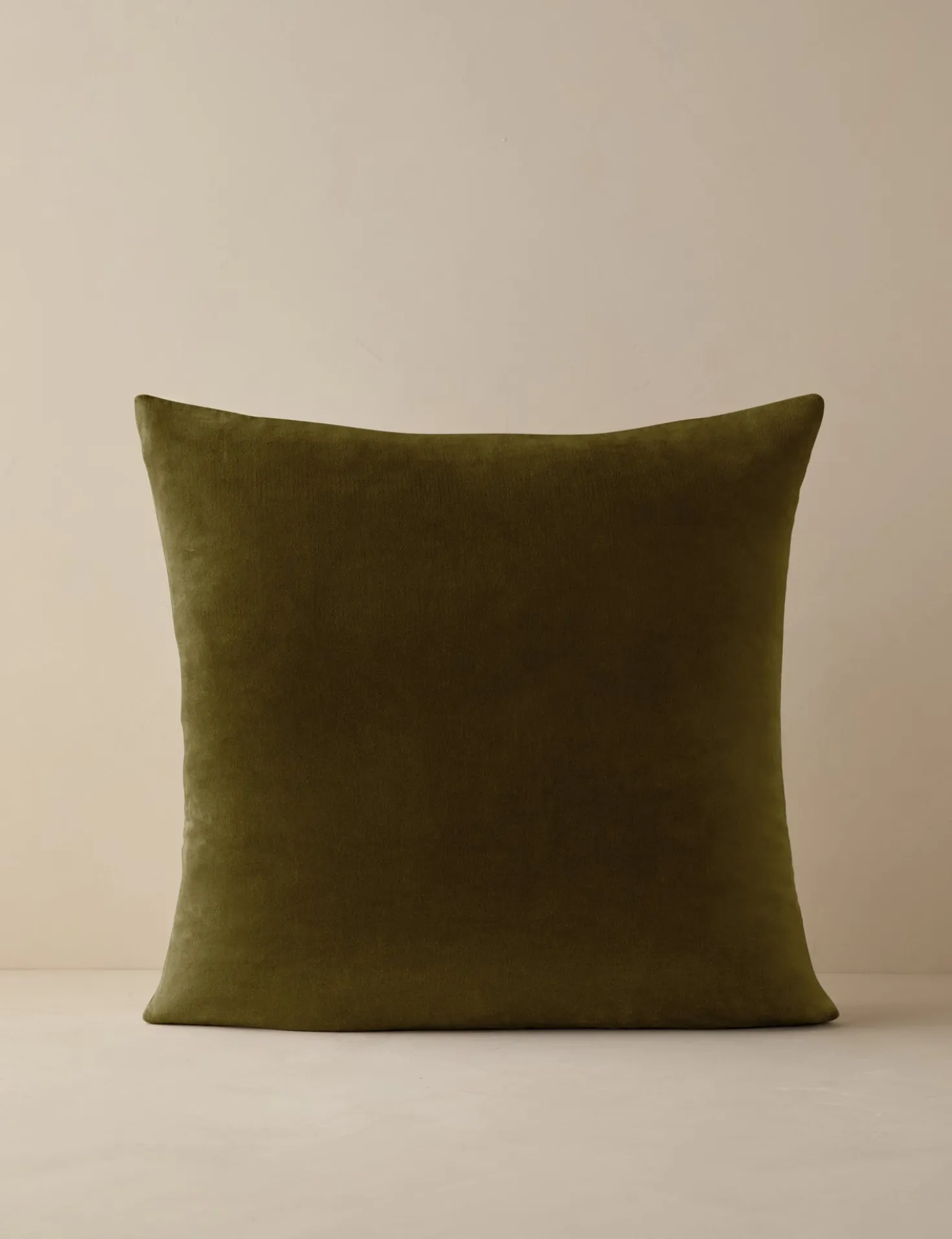 Charlotte Velvet Pillow