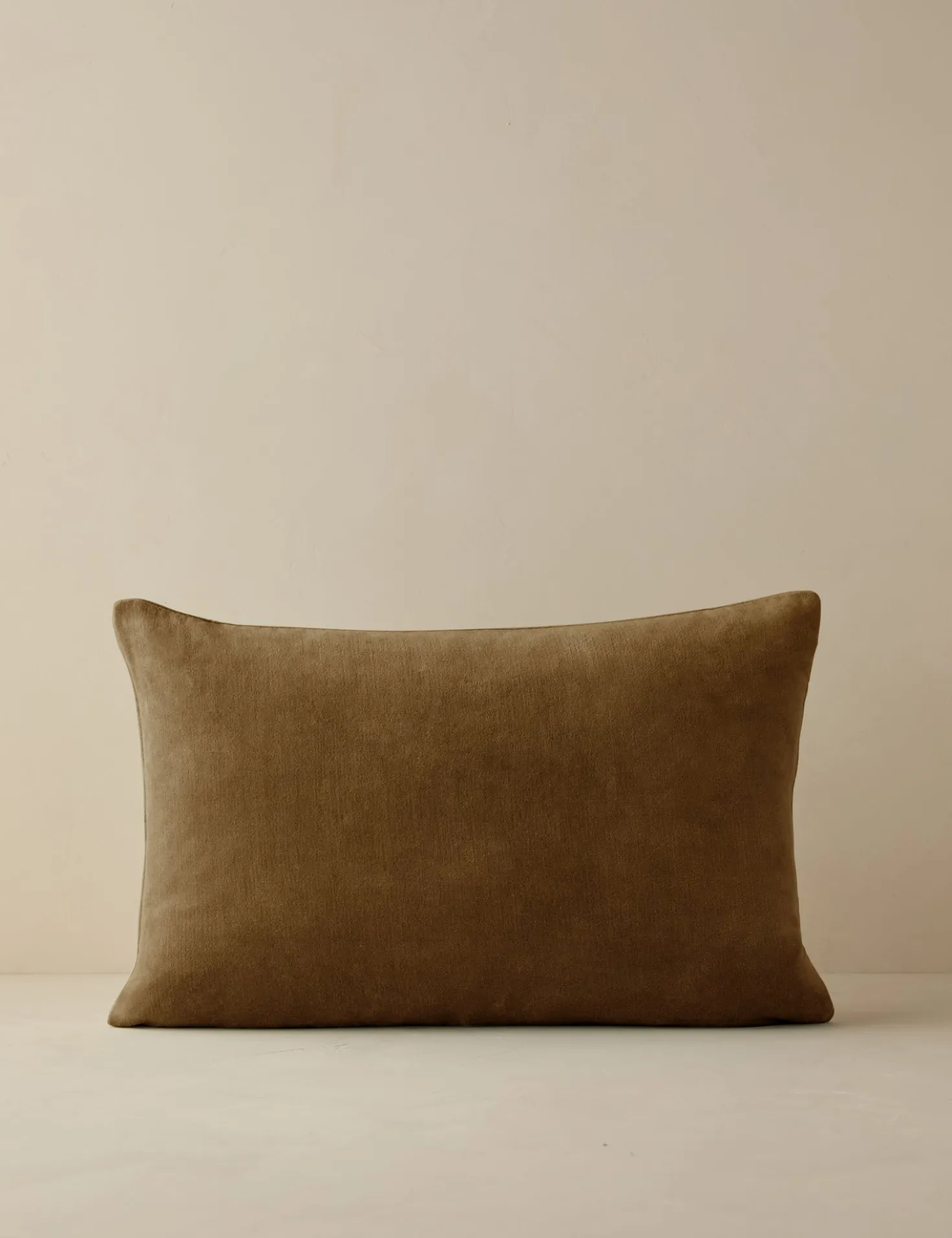 Charlotte Velvet Pillow
