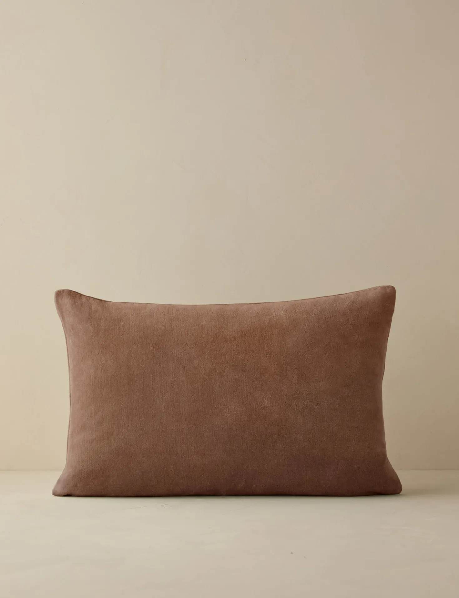 Charlotte Velvet Pillow