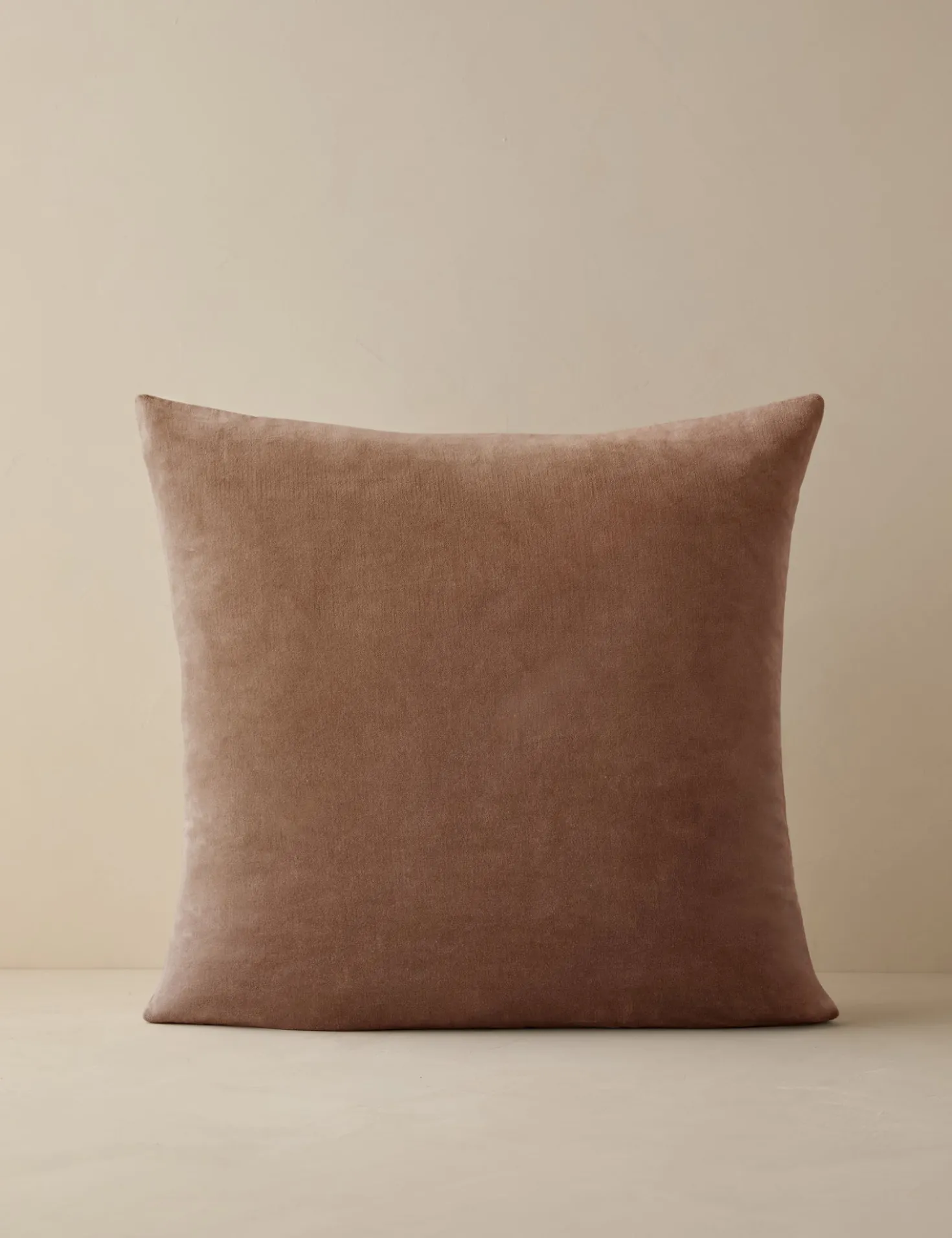 Charlotte Velvet Pillow