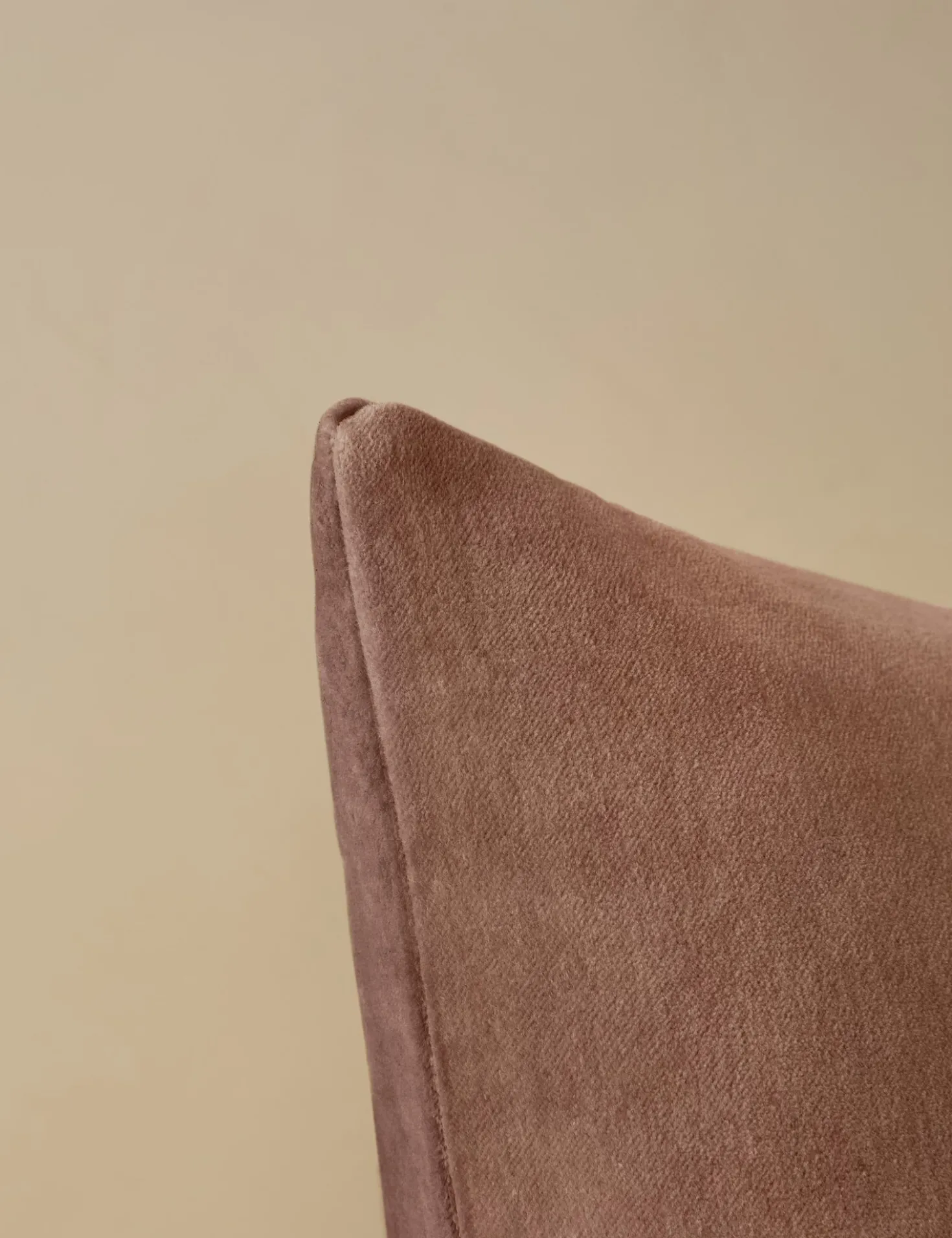 Charlotte Velvet Pillow