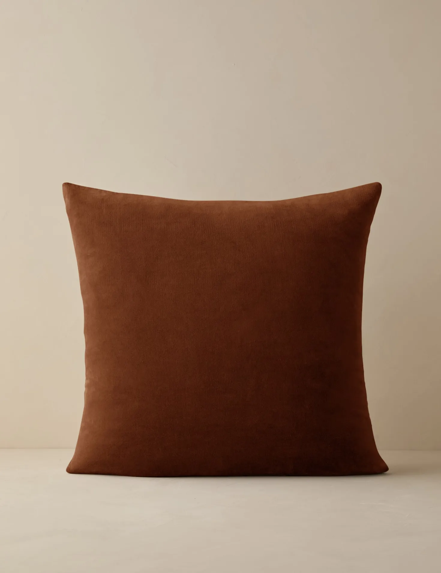 Charlotte Velvet Pillow