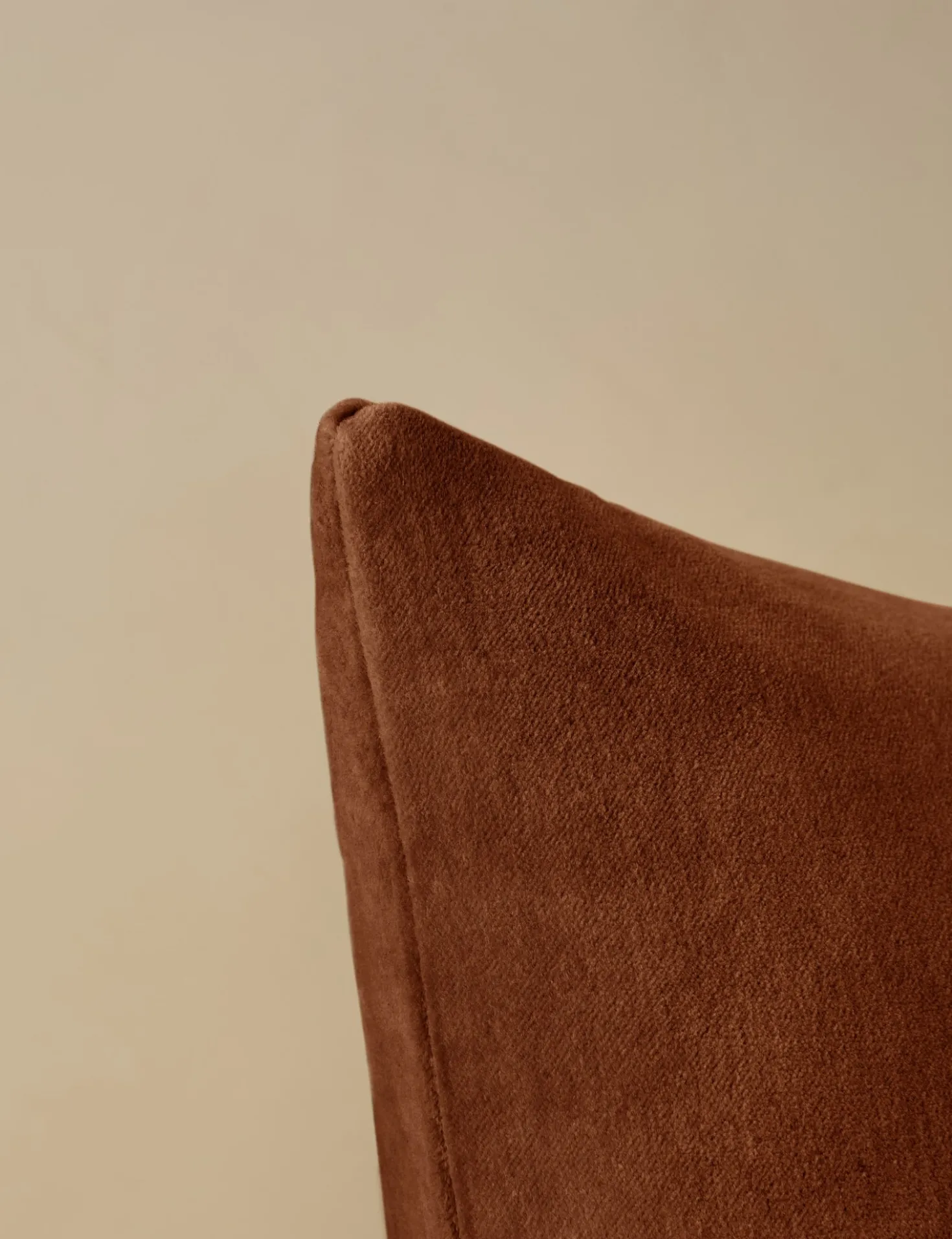 Charlotte Velvet Pillow