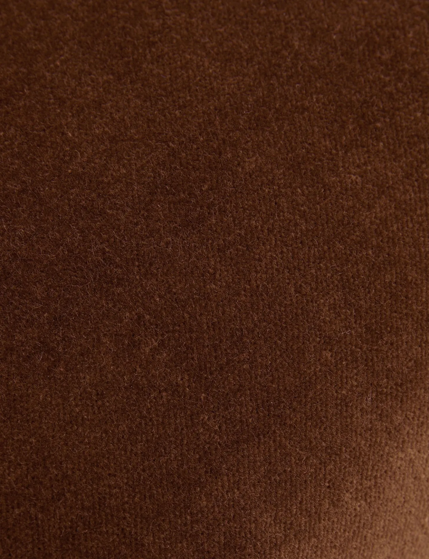 Charlotte Velvet Pillow