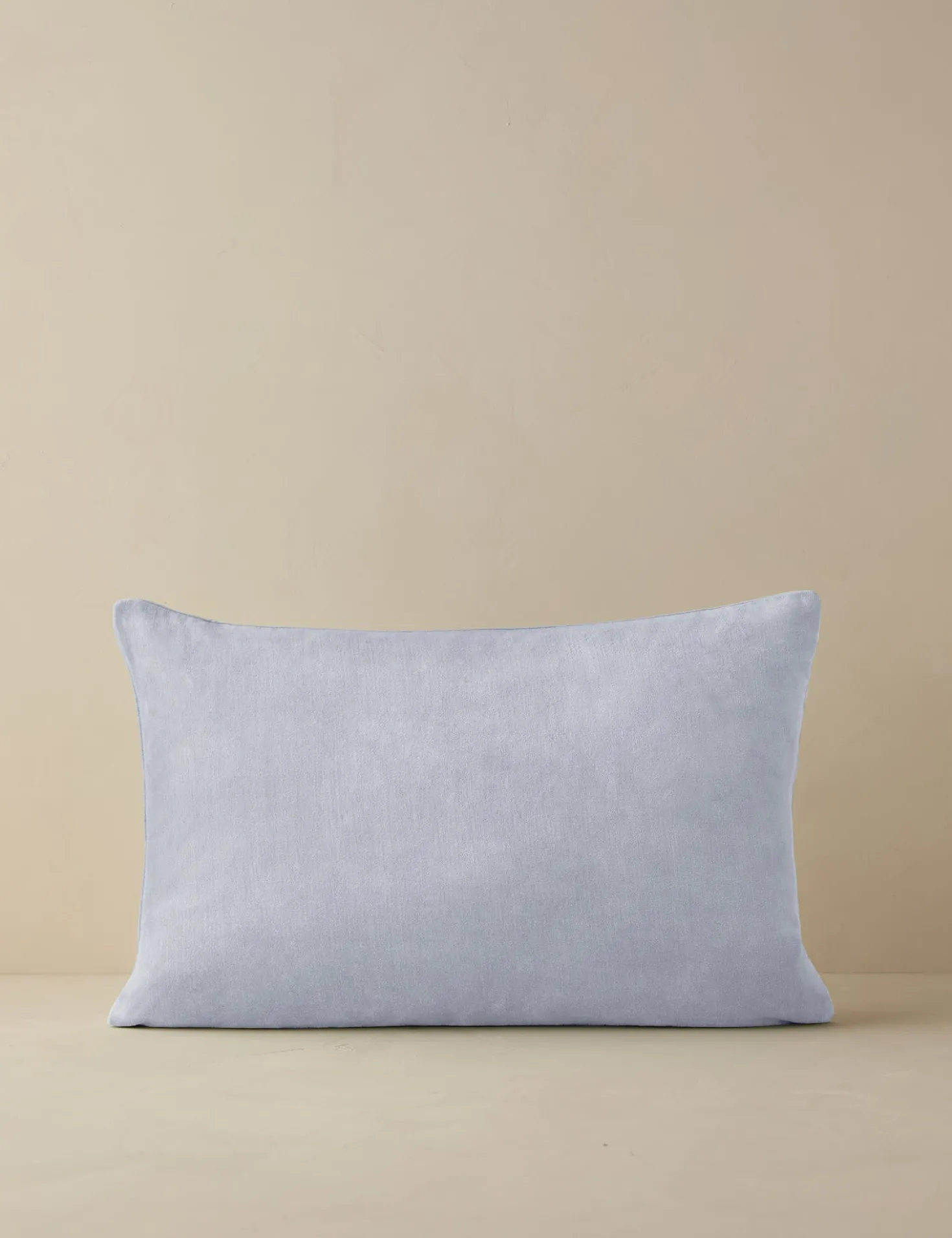 Charlotte Velvet Pillow