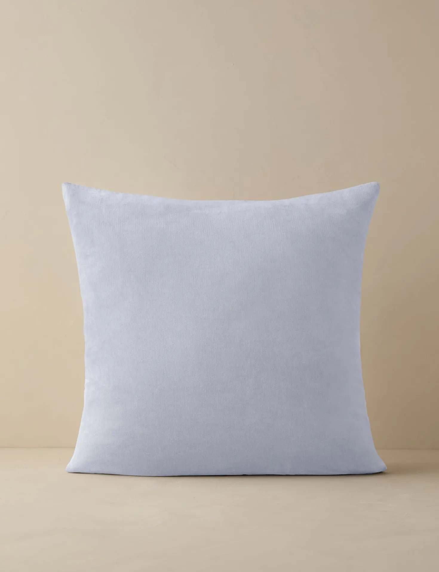 Charlotte Velvet Pillow