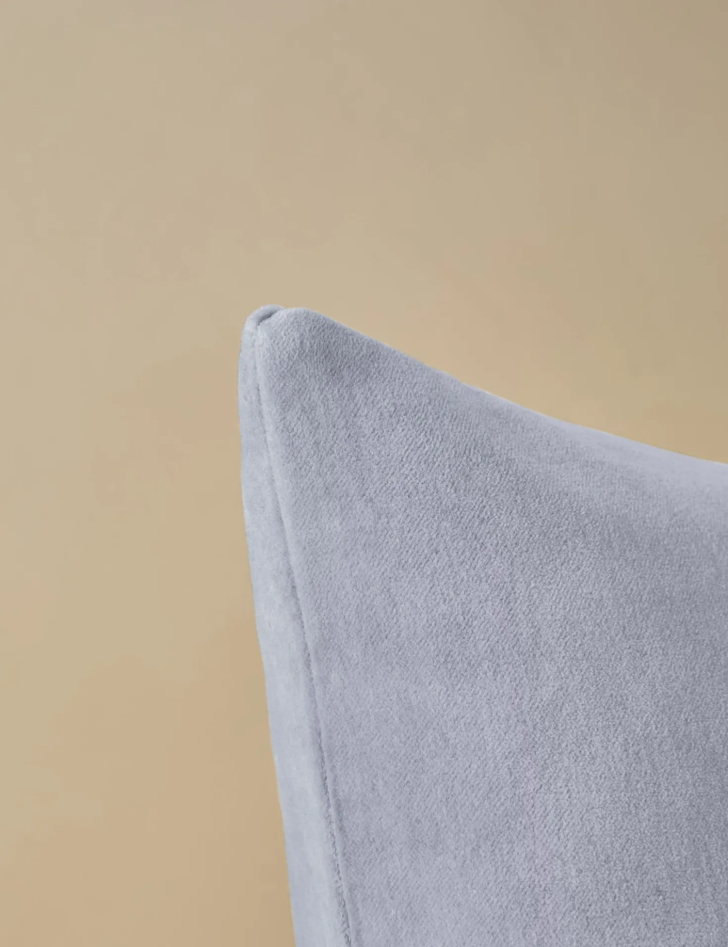Charlotte Velvet Pillow